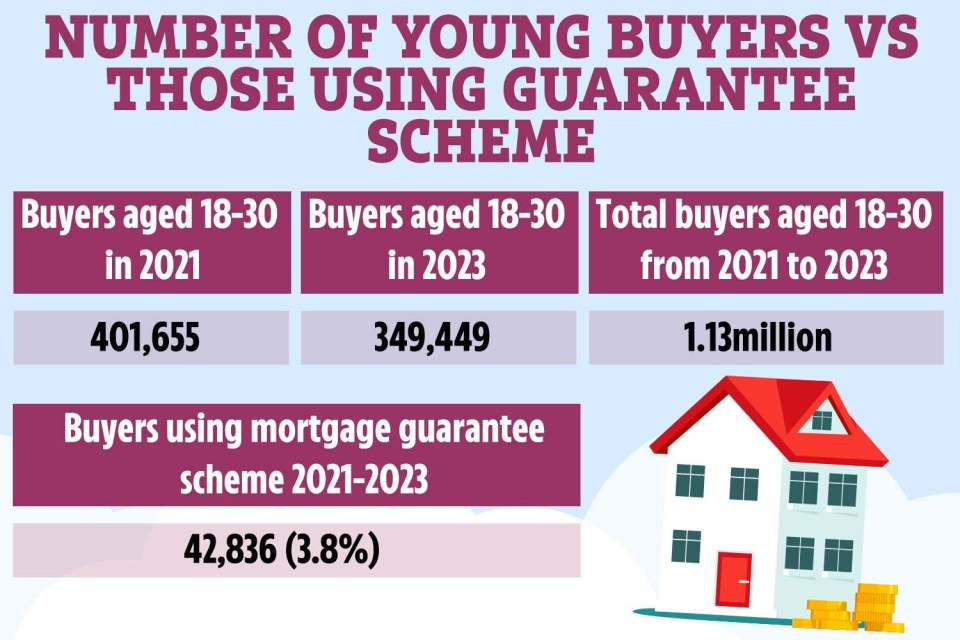 The scheme hasn't been widely utilised, and young buyer numbers are falling