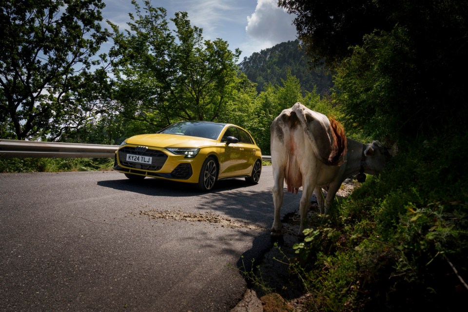 The Audi S3 Sportback is a family car with rally car DNA