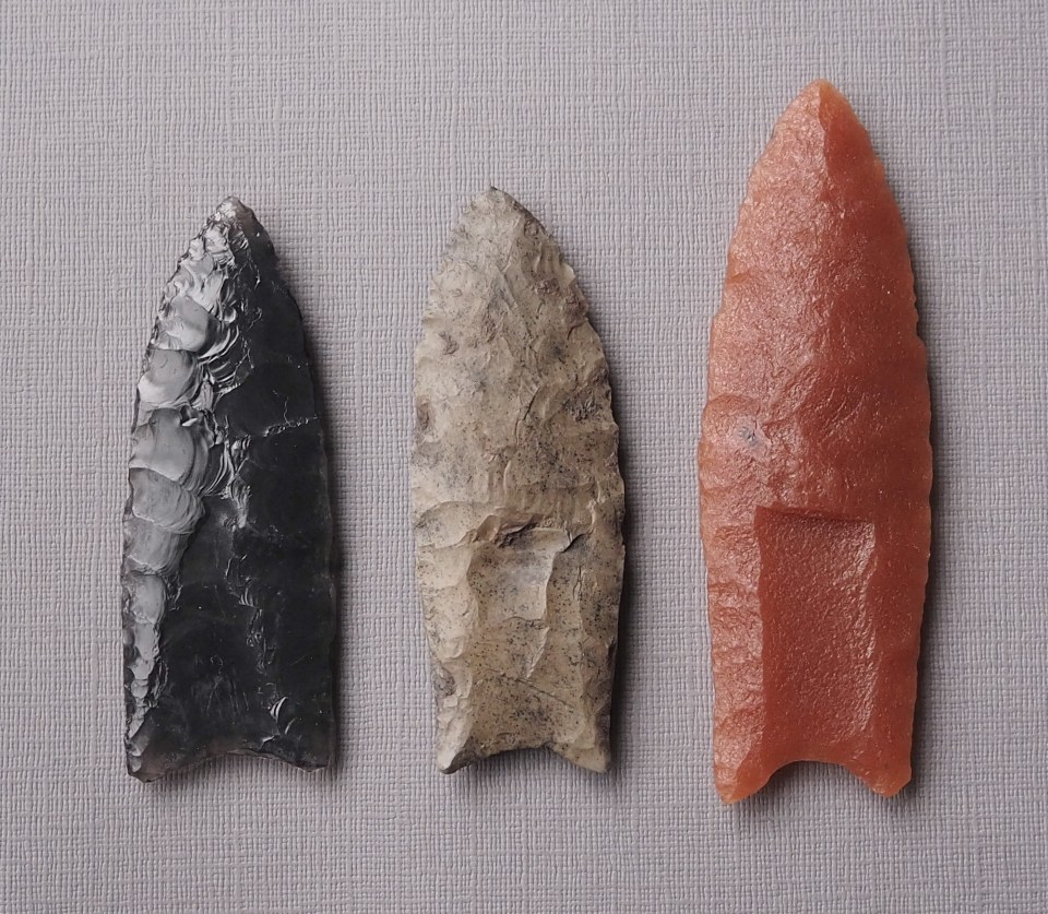 The spear tip, called a Clovis point, would have functioned like a modern day hollow-point bullet when the weapon was planted and angled towards prey