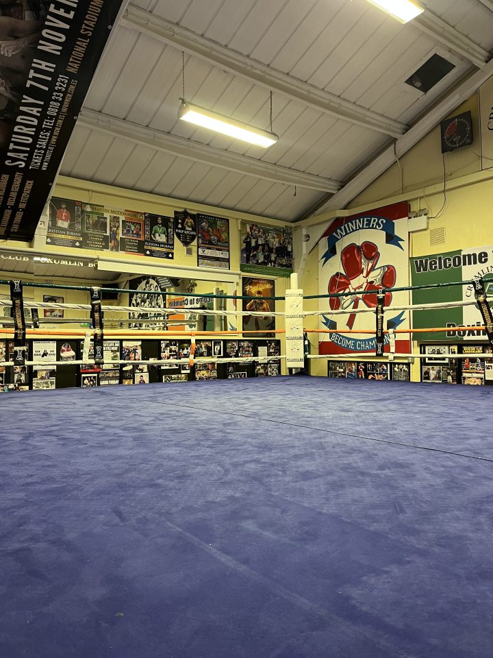 This is the ring where McGregor spars