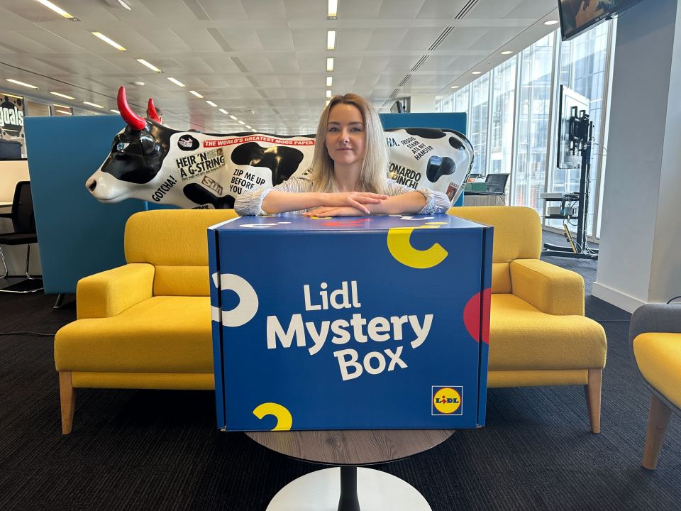 The Sun's Laura McGuire pictured with Lidl £20 mystery box