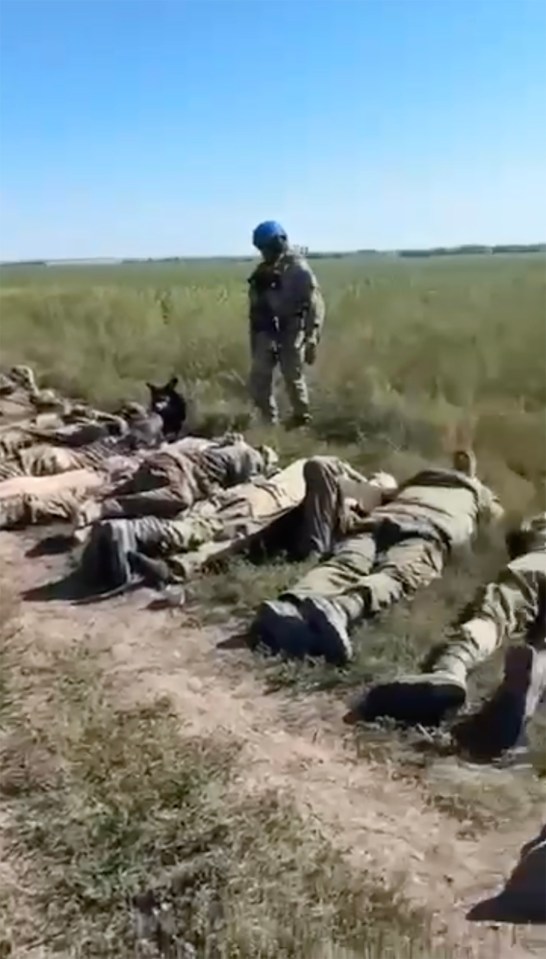 More than 100 Russian soldiers surrendered with their heads in the turf