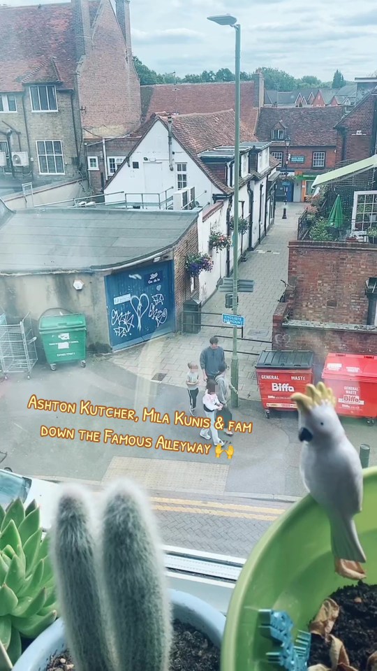 They were spotted casually walking through Rickmansworth's Famous Alleyway