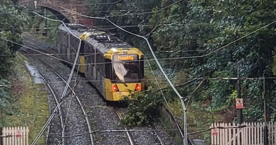 Gusts caused another tree to block a Metrolink line in Manchester this morning