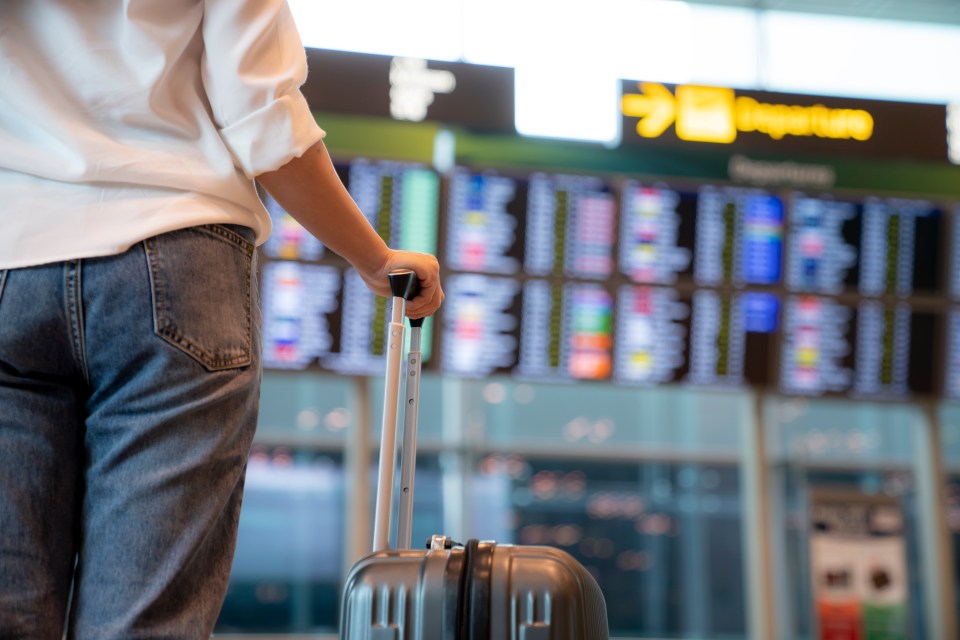 a person holding a suitcase in front of a departure board