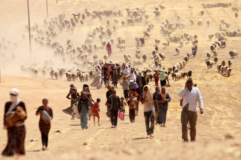 Huge numbers of Yazidis have been forced to flee