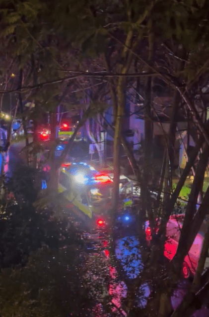 An ambulance and several cop cars parked on the street with flashing lights