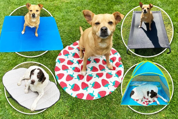 best-dog-cooling-mats