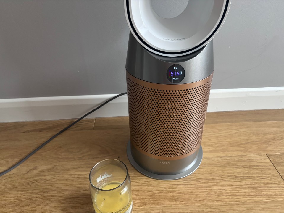 We tested the Dyson fan to see if the purifier was a valuable addition or useless gimmick