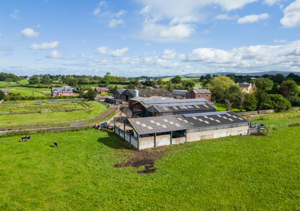 Mr Padberg said the number and size of farm sheds in the dairy industry made them well-suited to having solar panels