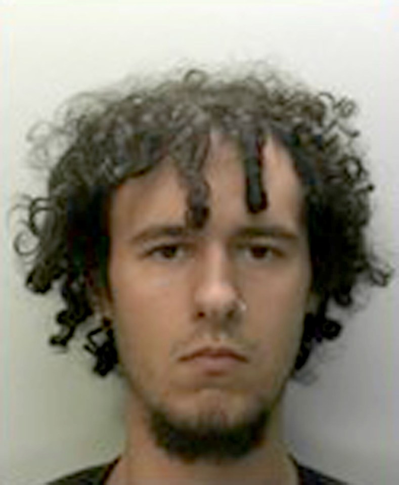 Lucas Ormond Skeaping, 29, admitted violent disorder after pushing a 17-year-old boy off his bike during protests in Plymouth on Monday night