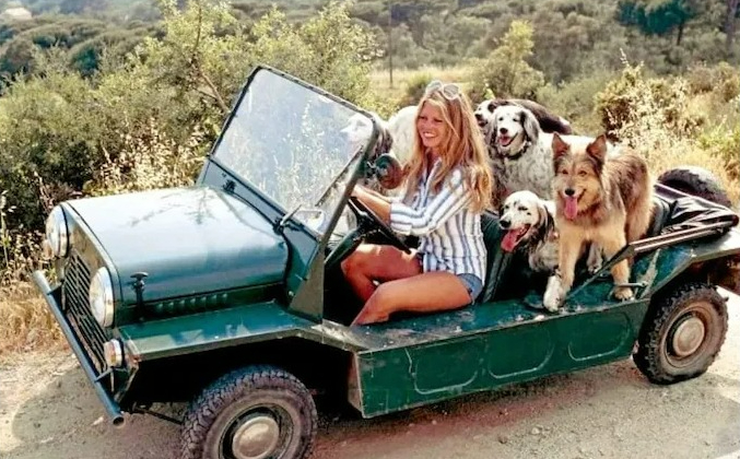 a woman is sitting in the back of a jeep surrounded by dogs .