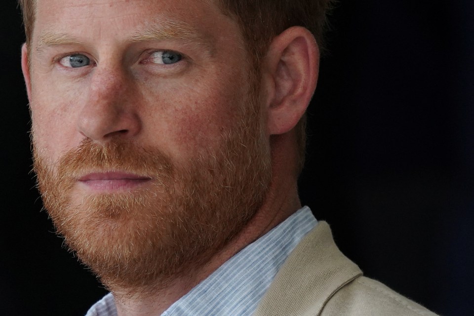 a man with a beard and blue eyes looks at the camera