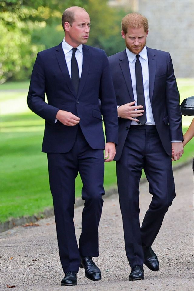 Harry and William pictured together in 2022