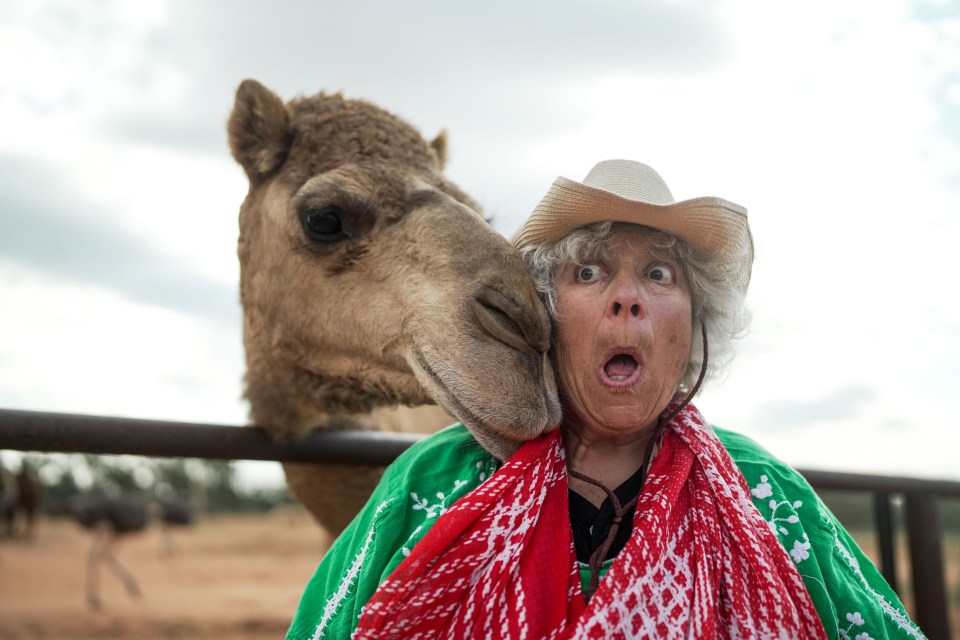 Miriam Margolyes slyly promoted a haemorrhoid cream on her new show