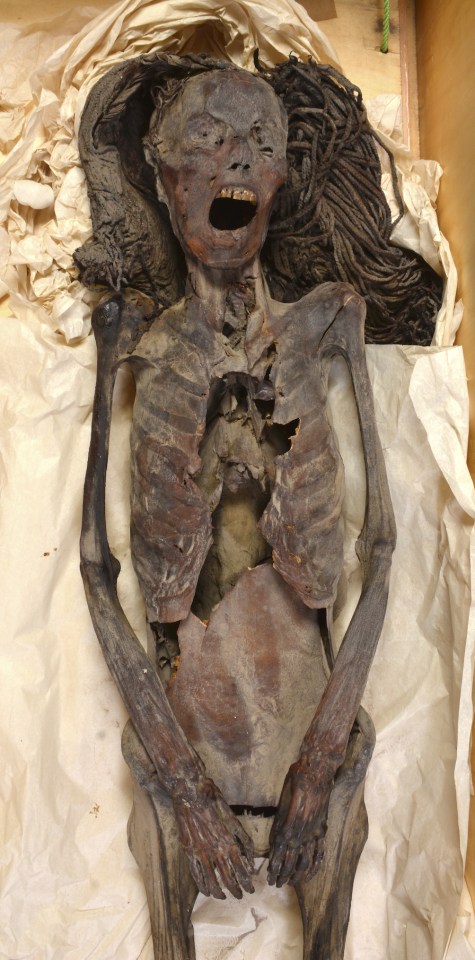 Image of the Egyptian mummy who was buried in 'immense pain'