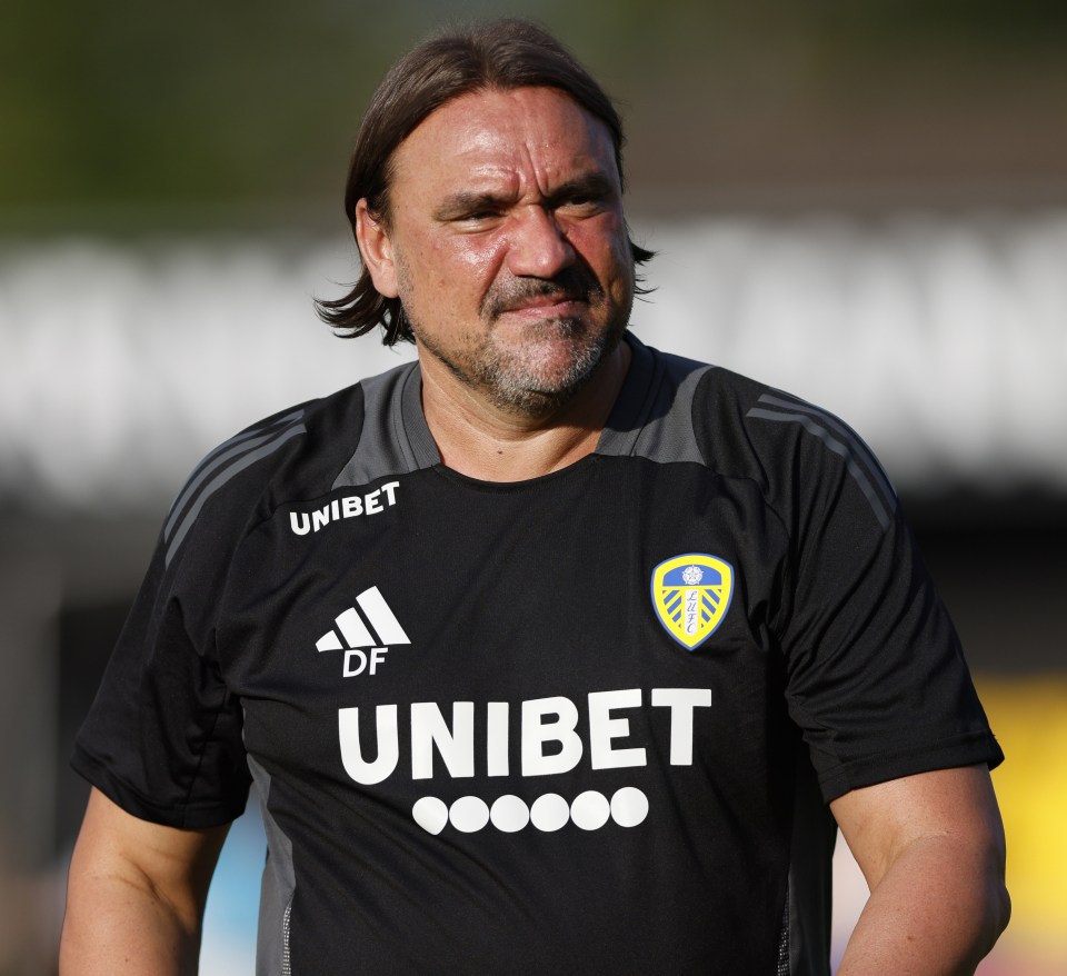 So far Daniel Farke's Leeds look weaker than last season