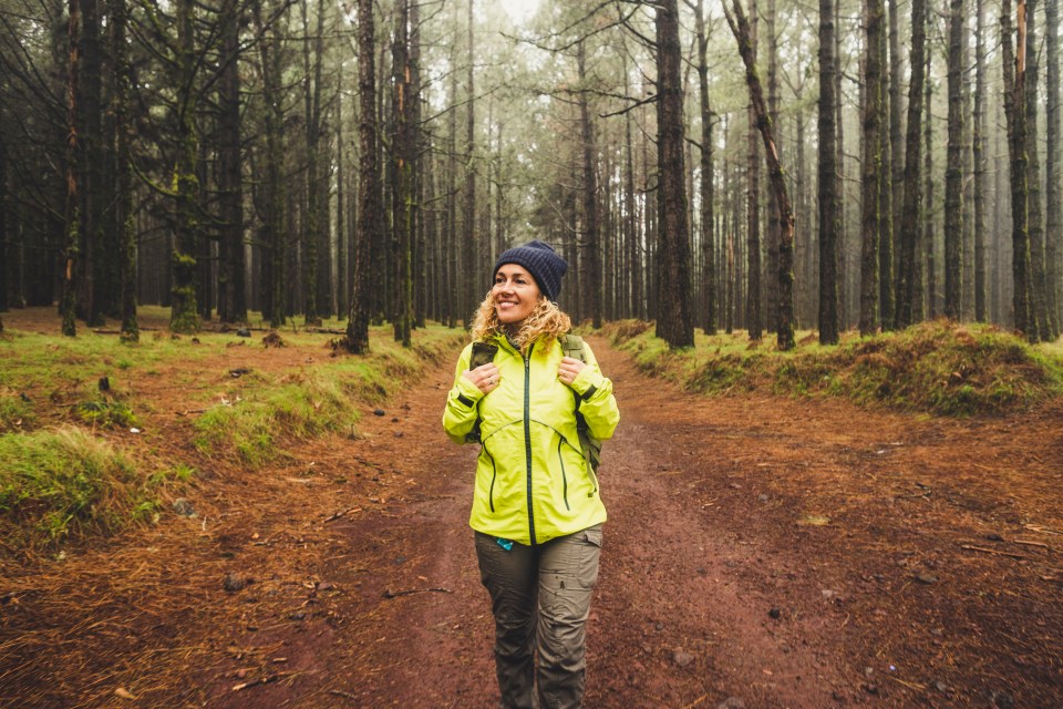 Walking could be as simple as taking the dog out, or hiking up a mountain