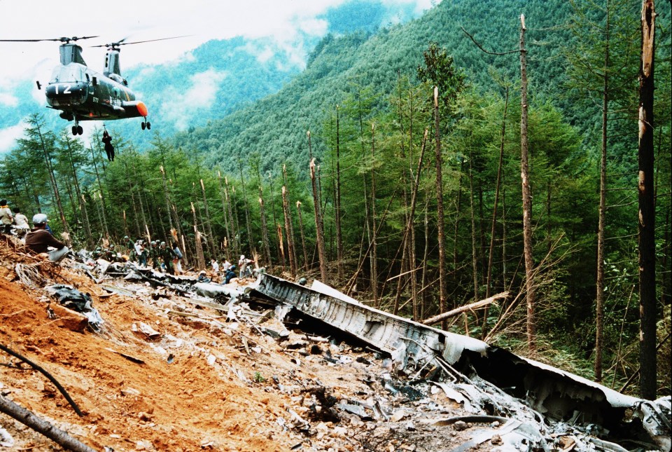 Members of the Japan Ground Self-Defense Force in a rescue operation at the crash site