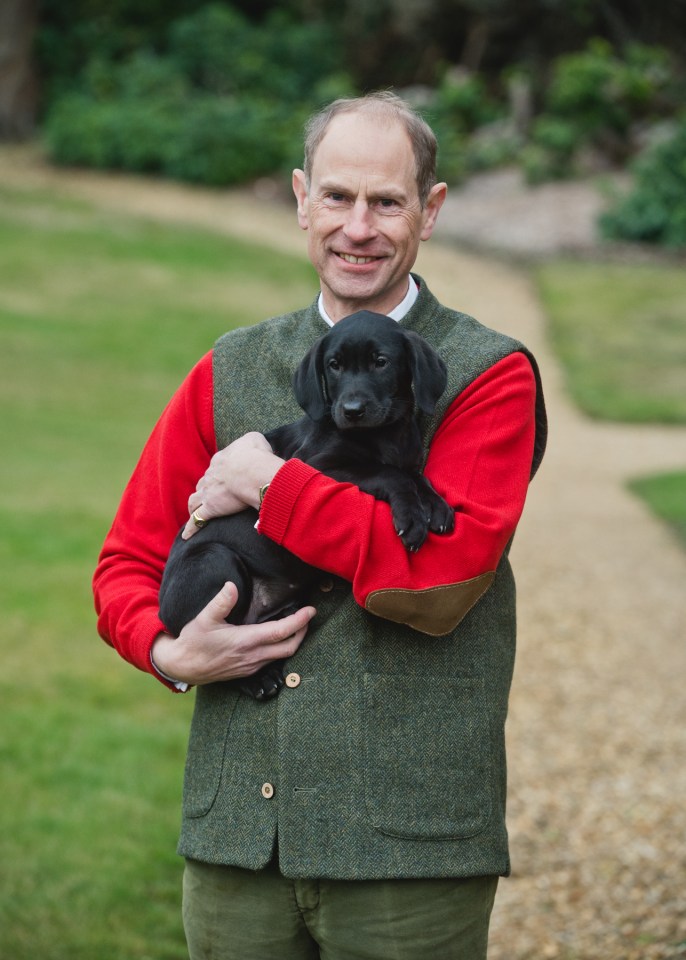 a man in a red sweater is holding a black puppy