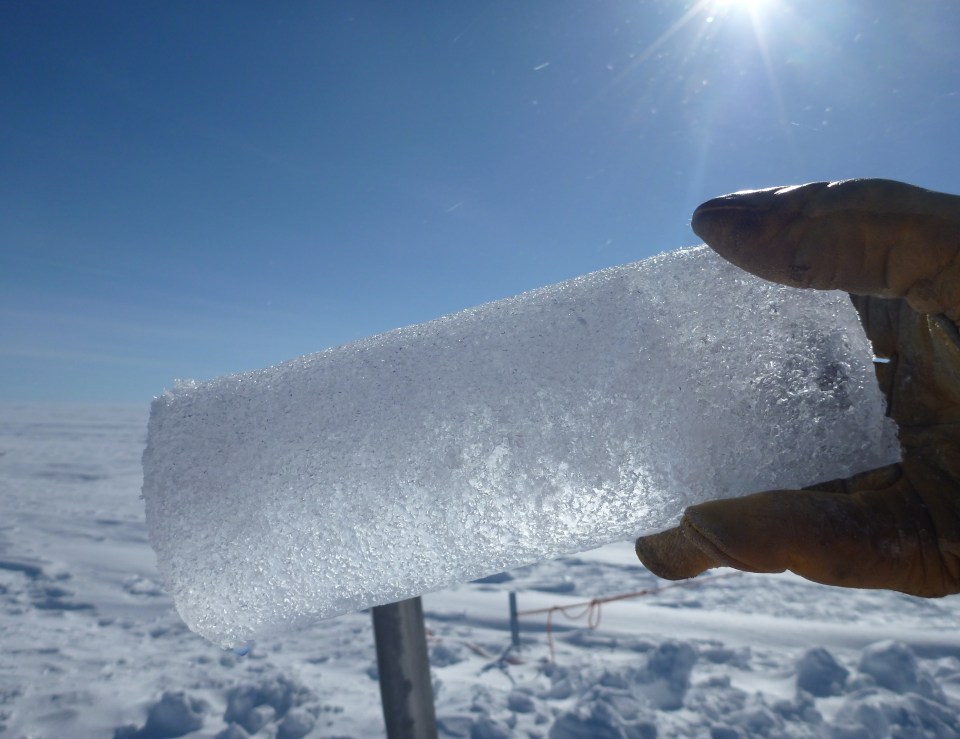 This image shows an ice core segment