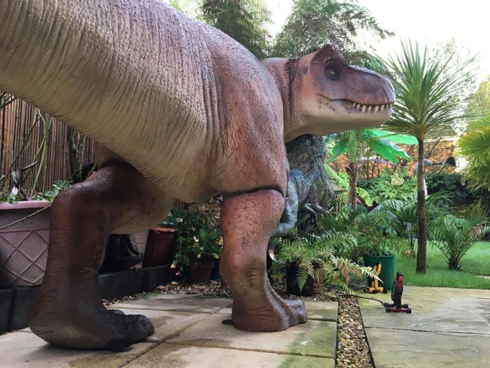 Mark said: 'I love dinosaurs and Jurassic Park too and just wanted to create a pre-historic garden'