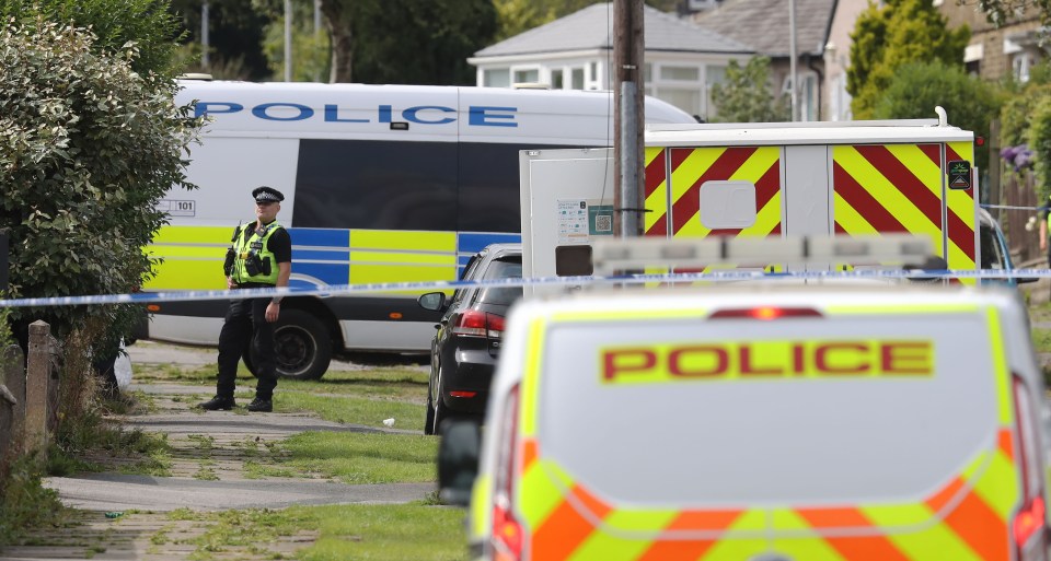 a row of police vehicles are parked on a street