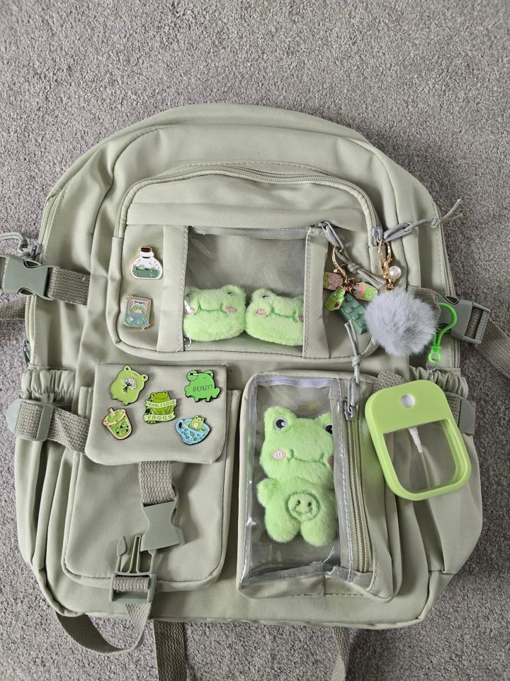 Using cheap buys from Temu, Natasha Lawless has kitted out her child with an incredibly unique rucksack, which many parents were keen to copy