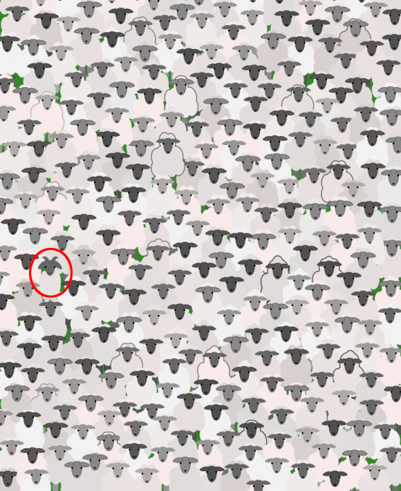 Were you able to spot the goat?