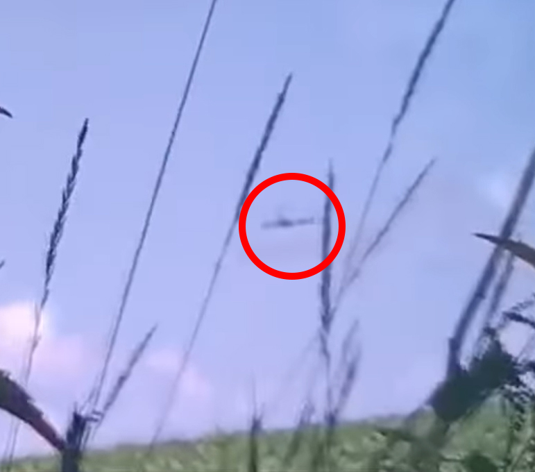 a red circle in the middle of a field of tall grass