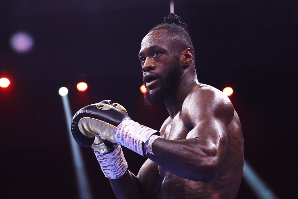 Deontay Wilder was linked with an MMA switch