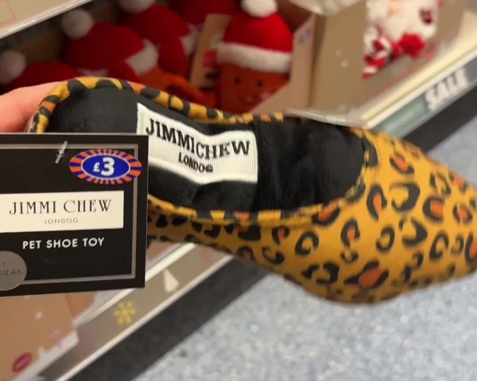 a person is holding a jimmy chew pet shoe toy