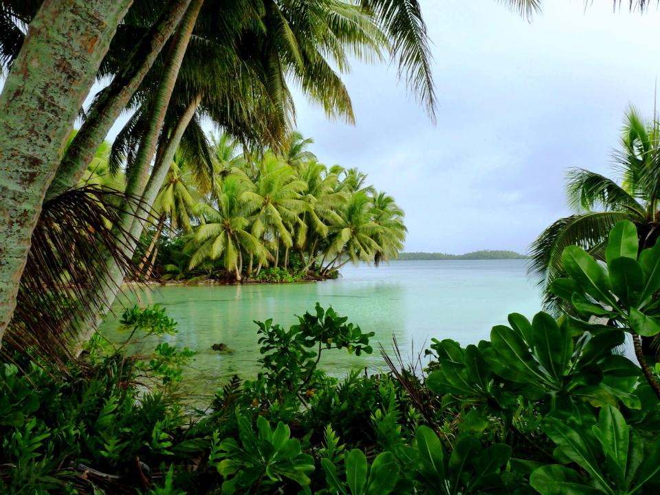 The island has a lush interior that's filled with dense rainforest vegetation