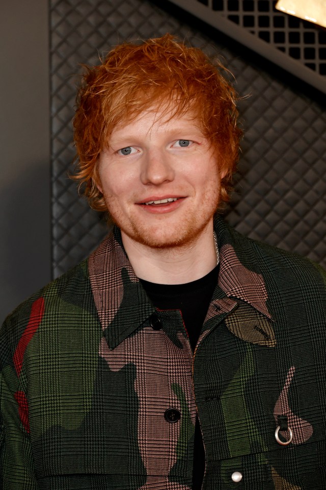 Insiders have said Taylor's pal Ed Sheeran was planning on supporting her tonight, with a possible turn on stage