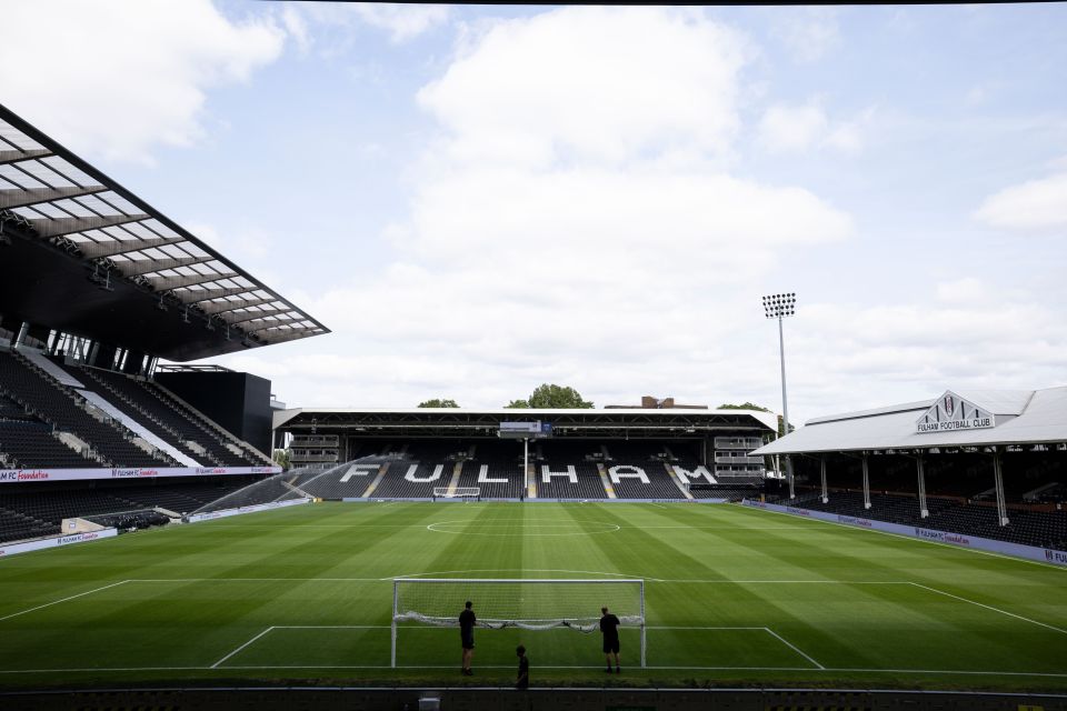 a soccer field with the word fulham on it