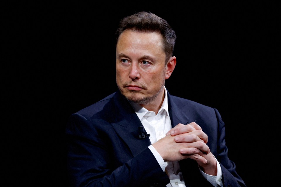 Elon Musk replied simply 'Absolutely' to a post from swimmer Riley Gaines that said 'men don’t belong in women’s sports'