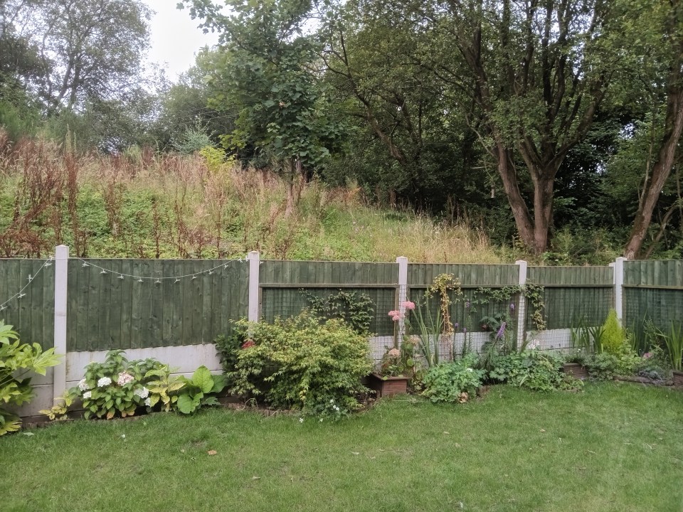 a green fence surrounds a lush green garden