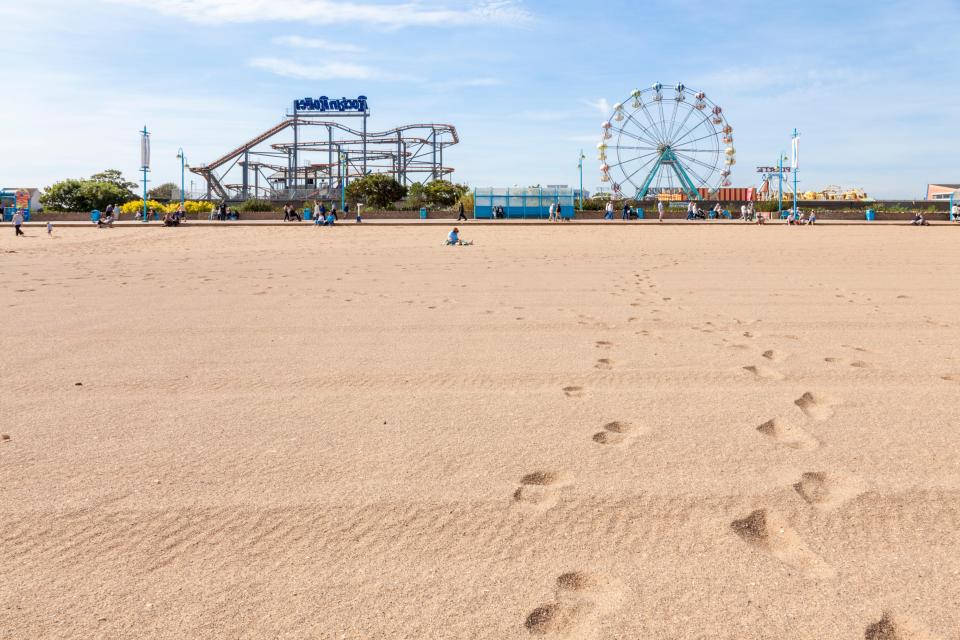 a roller coaster and ferris wheel are in the background of a sandy beach