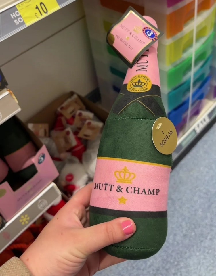 a person holding a stuffed bottle of mutt & champ