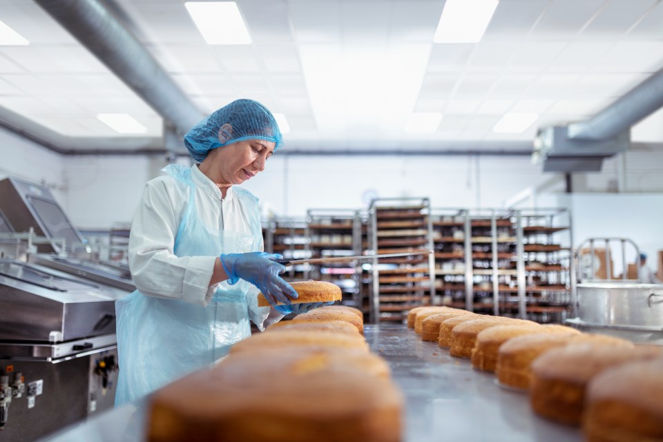 a woman in a white apron and blue gloves is working in a bakery