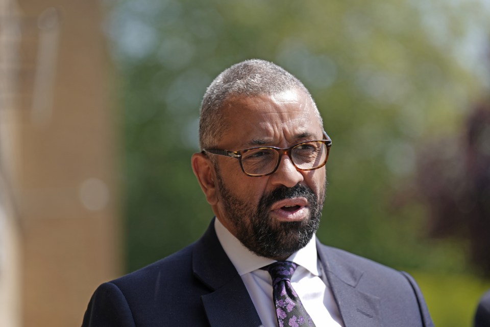 James Cleverly was the first of the Conservative Party leadership contenders to announce he would stand