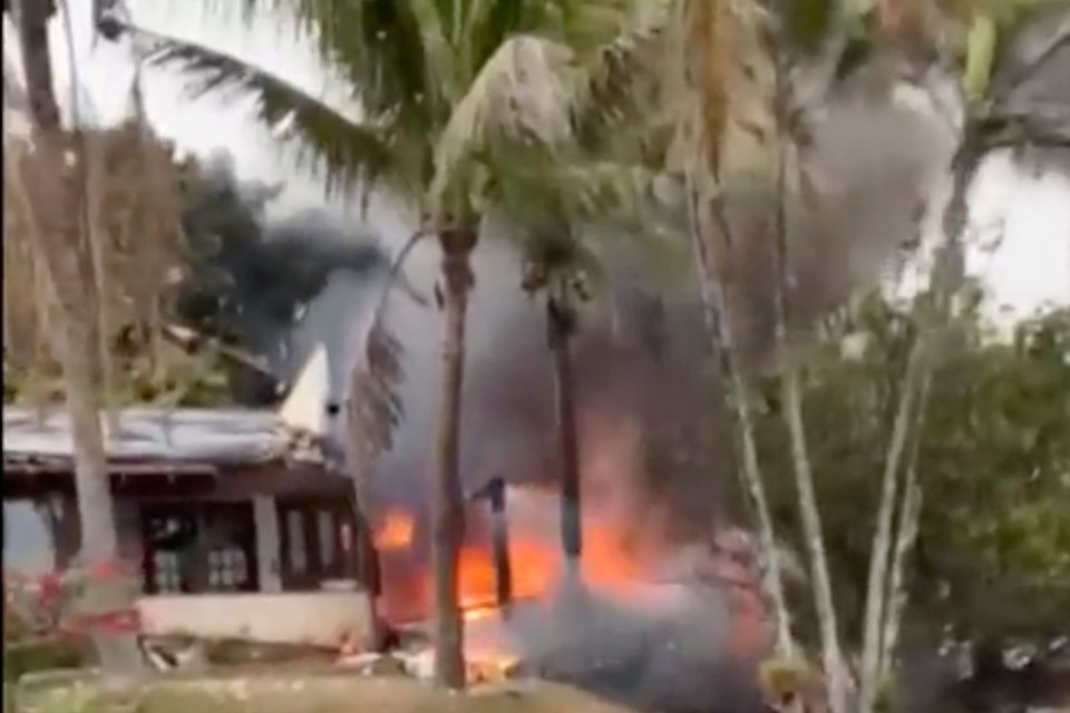 Smoke billowing as the blaze struck palm trees in a Sao Paulo town