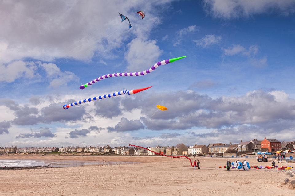 a group of kites are flying over a sandy beach