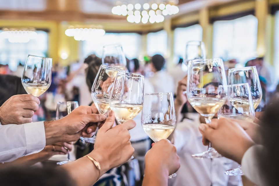 a group of people are toasting with wine glasses