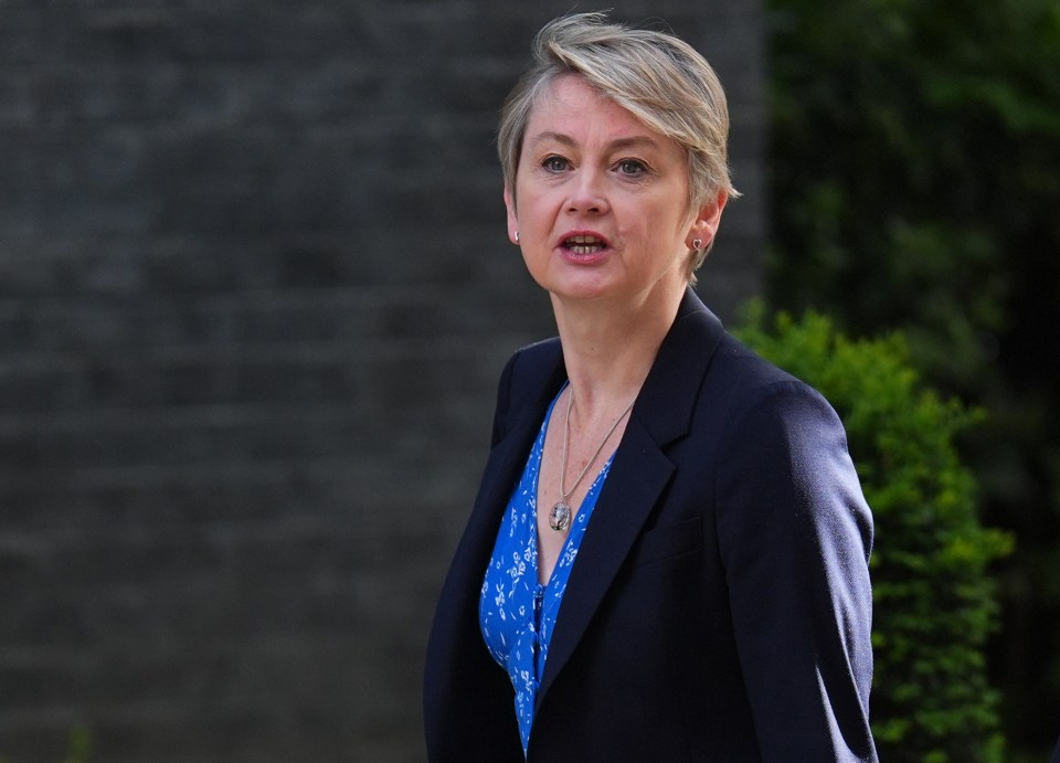 a woman wearing a blue jacket and a blue shirt stands in front of a brick wall