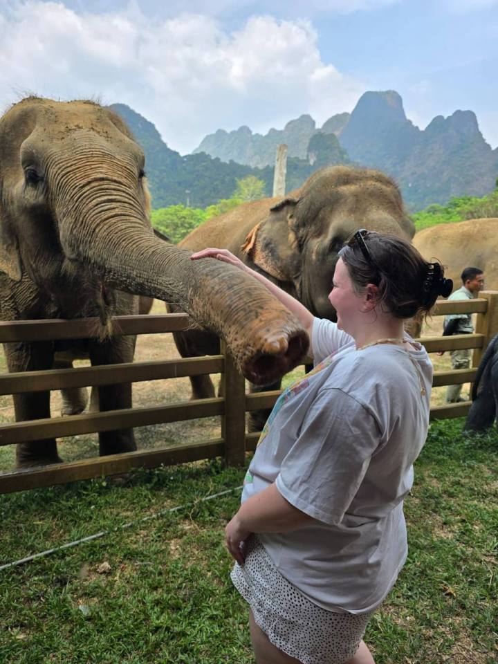 a woman petting an elephant behind a fence with mountains in the background