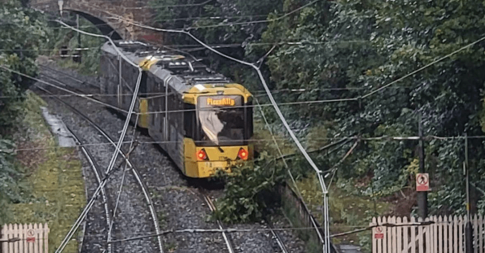 a train that says pizzapig on the front of it