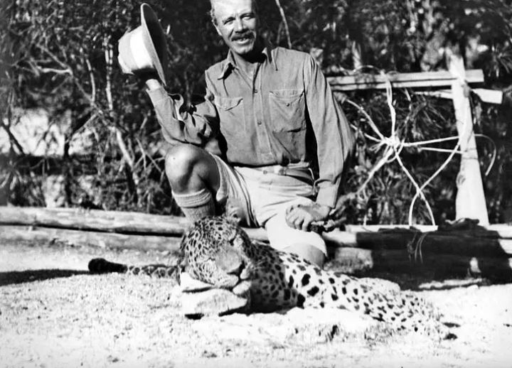 He spent the last two decades of his life campaigning to protect the big cats; picture showing a young Corbett petting a baby leopard