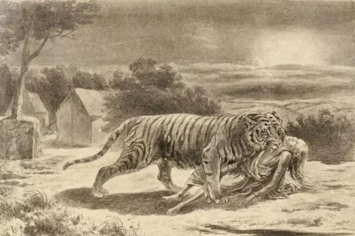 A painting showing the deadly Champawat tiger in action during the 19th century