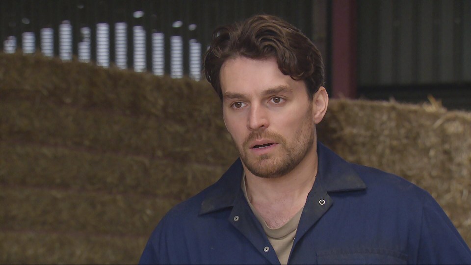 a man in a blue shirt stands in front of a pile of hay